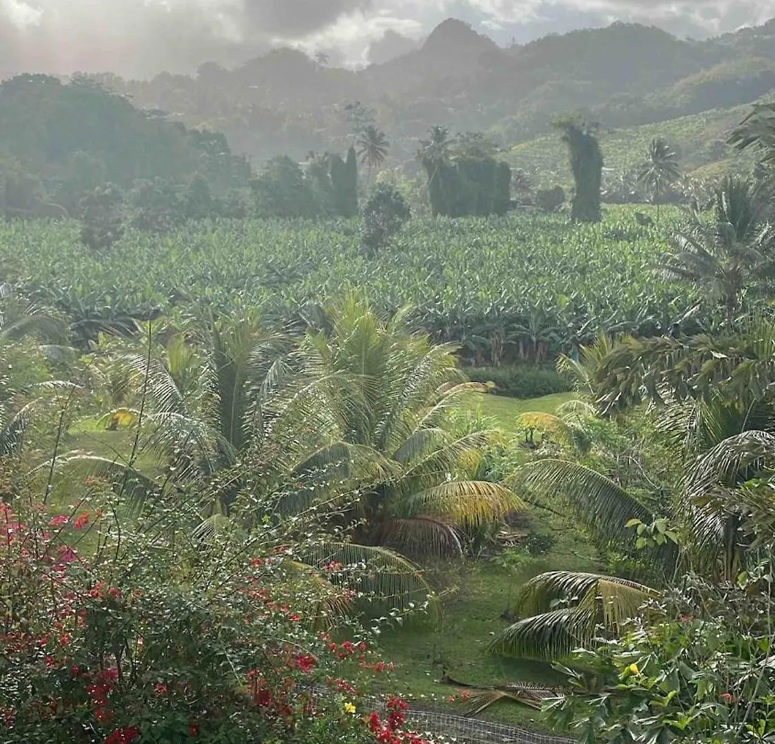Apartment Calm Stay In A Lush Setting Le Lamentin Martinique